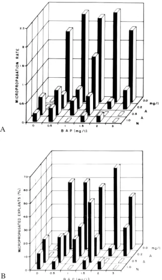 Figure 1 - Micropropagation of C. zedoaria plants in different BAP X NAA concentration treatments