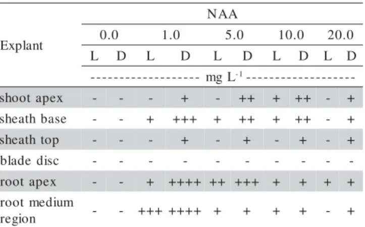 Table 2 - Callus induction from types of explants and in culture media with concentrations of NAA maintained in the light (L) or in the dark (D).