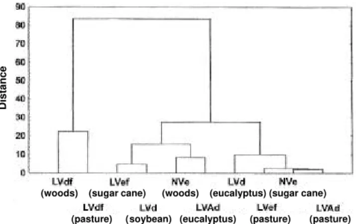 Figure 1 - Results of the groups derived from analysis for the measurable variables response to the effects of sulfentrazone applied on different soil classes