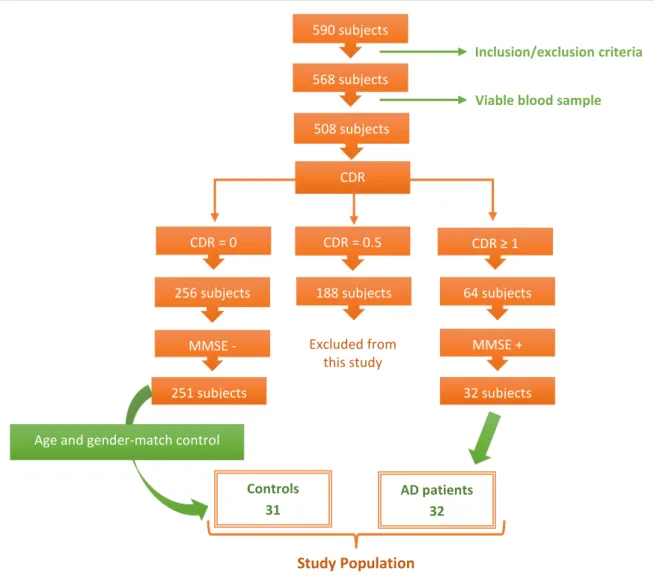 Figure 7 – Schematic diagram of the Study Design. A pilot study of 63 individuals (32 AD patients and 31  Controls) was chosen for the work here described.