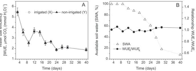 Figure 5 - Leaf water potential of ‘Tahiti’ lime measured at predawn (A) and noon (C) in irrigated (X) and non-irrigated plots (Y) throughout the experiment