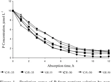 Figure 1 - Depletion curve of P from nutrient solution by non- non-mycorrhizal (C-P 1 - Control with 3.0 mg L -1 ; C-P 2  -Control with 30.0 mg L -1  P) and mycorrhizal  (GE-Glomus etunicatum) bean plants, at the onset of flowering and at the pod-filling s