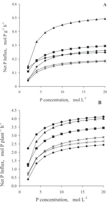 Figure 2 - Net Influx of P per unit root fresh matter weight (A) e per plant (B) as function of P concentration in the nutrient solution by non-mycorrhizal (C-P 1 - Control with 3.0 mg L -1 ; C-P 2 - Control with 30.0 mg L -1  P) and mycorrhizal (GE- Glomu