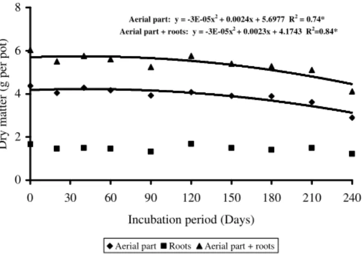 Figure 1 - Dry matter yielded by rice plants, relative to different soil incubation periods with velvet bean green manure.