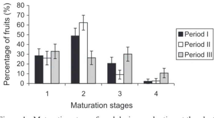 Figure 3 - Evaluation for physical damage during harvest in tomato fruits. The rating scale adopted was (1) without physical damage; (2) light external surface physical damage; (3) serious external physical damage, caused by insects, fruit borer, or by the