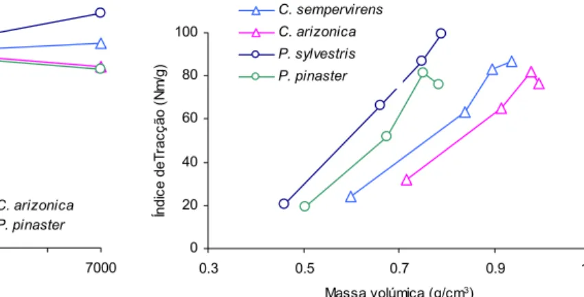 Figura 13 – Variação do índice de tracção da folha  em função do nível de refinação para as espécies de  resinosas estudadas