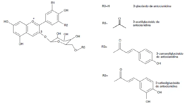 Figura  12.  Estruturas  químicas  das  antocianinas  3-monoglucosídicas  e  respectivos  ésteres  acilados