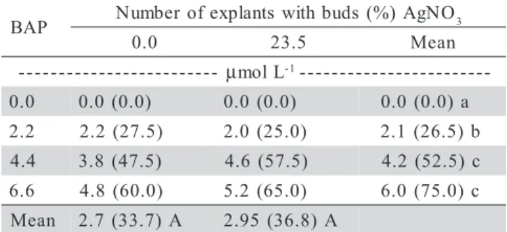 Table 1 - Shoot bud formation in passion fruit (P. edulis) leaf discs treated with different BAP concentrations, with or without AgNO 3 .