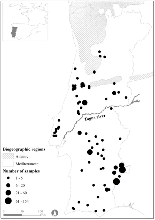 Figure 3.1. Locations and number of samples of the Egyptian mongoose specimens under  study