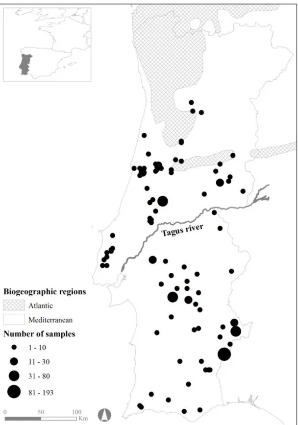 Figure 2.1. Locations and number of samples of the Egyptian mongoose specimens under  study