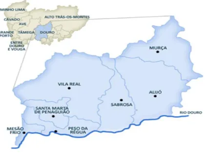 Figura 2. Área geográfica do ACeS Douro Norte  (Relatório de atividades 2013, Douro Norte - ACeS) 