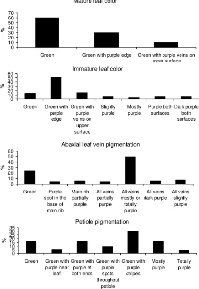 Figure 4 - Morphological vegetative aerial descriptors (mature leaf color, immature leaf color, abaxial leaf vein pigmentation, petiole pigmentation) evaluated in 53 landraces of sweet potato from the Vale do Ribeira.