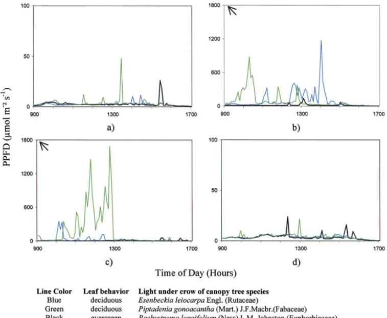 Figure 1 - Time–course variation of light intensities in photosynthetic photon flux density (PPFD) under the crowns of two deciduous canopy tree species, Esenbeckia leiocarpa and Piptadenia gonoacantha, and one evergreen canopy tree species, Pachystroma lo