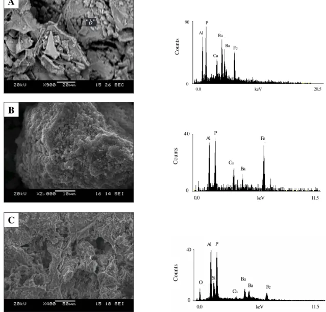Figure 5 - Aluminous phosphates of the crandallite group: (A) Tapira, cracking material in alteration plasma constituted by rhombic and tetrahedral crystals and EDS graph analysis of area “b” to the right; (B) Juquiá, angular crystals covering ferruginous 