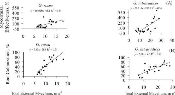Figure 5 - Regression between mycorrhizal effectiveness and total external mycelium (A), and between percentage of root colonization and total external mycelium (B) for each endophyte (n=20).