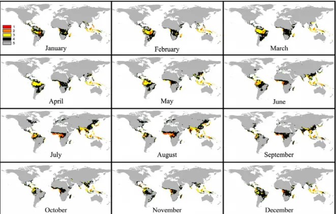 Figure 7 - Maps representing future worldwide spatial distribution of the classes of favorability for Black Sigatoka (BS), predicted by the use of the “multimodel emsemble”, for January to December, for the decade of 2080 (B2 scenario), where Class 1: high