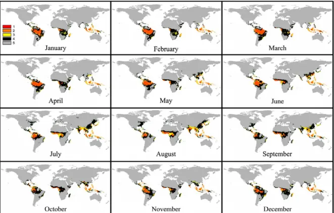 Figure 3 - Maps representing future worldwide spatial distribution of the classes of favorability for Black Sigatoka (BS), predicted by the use of the “multimodel emsemble”, for January to December, for the decade of 2020 (B2 scenario), where Class 1: high