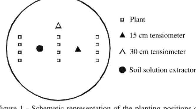 Figure 1 - Schematic representation of the planting positions of corn (with four seeds in each position) and location of the tensiometers and soil solution extractor.
