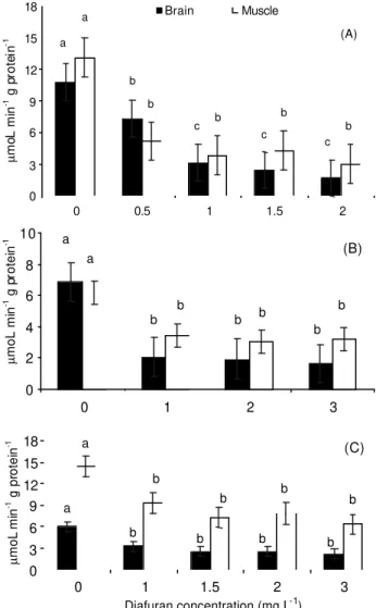 Figure 1 - Effects of 96 h diafuran exposure on AChE activity in brain and muscle of (A) common carp ( Cyprinus carpio), (B) grass carp (Ctenopharyngodon idella) and (C) bighead carp  (Aristichthys nobilis)