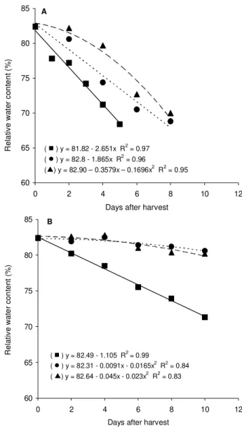 Figure 2 - Relative water content of okra stored at 5 (S), 10 (z) and 25ºC () for the control (A) and PVC wrapped fruits (B).60657075808502 4 6 8 10 12