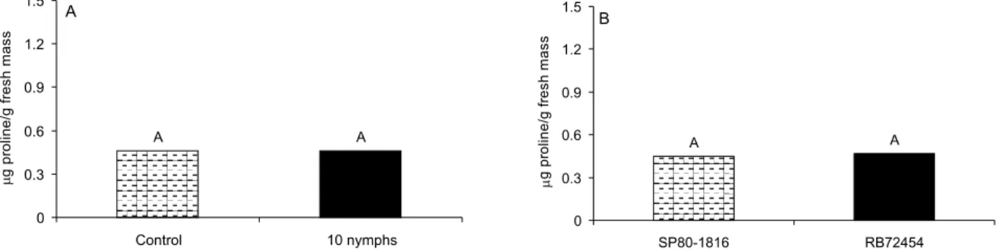Figure 1 - Levels of free proline in the spittlebug experiment. Different letters indicate difference at 5% (Tukey test)