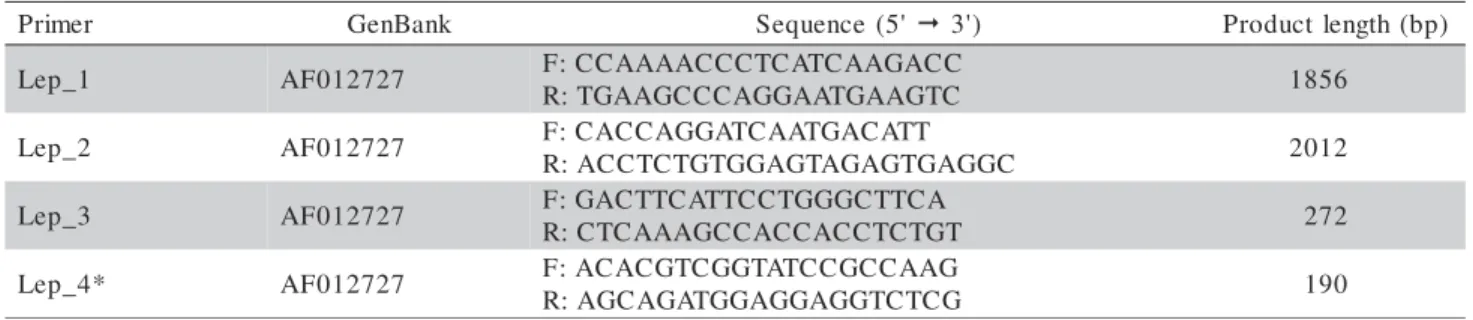 Table 1 - GenBank access, sequence and product length for each pair of primers designed.