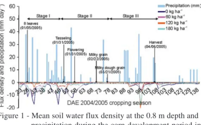 Figure 2 - Mean soil water flux density at the 0.8 m depth and precipitation during the corn development period in the 2005/2006 cropping season.
