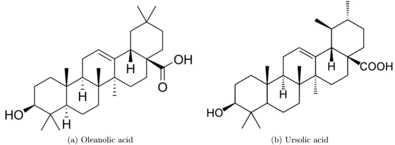 Figure 1.1: Chemical structures of triterpenic acids.
