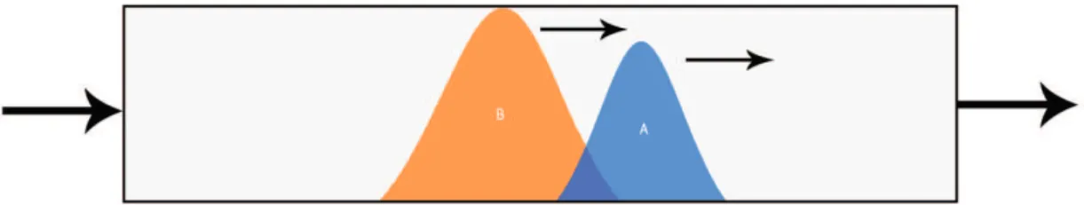 Figure 1.2: Preparative Chromatography scheme (Image adapted from [33]).