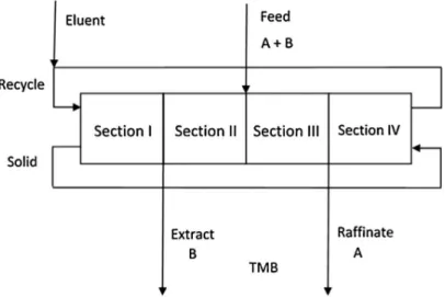 Figure 1.3: Schematic representation of True Moving Bed mechanism [37].