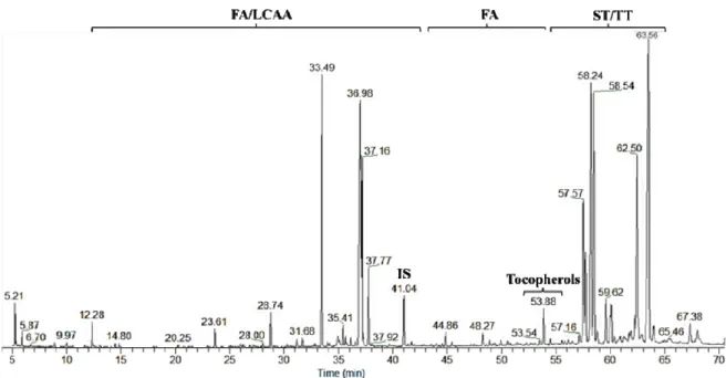 Figure 1. GC–MS chromatogram of the trimethylsilyl (TMS)-derivatized dichloromethane  extracts of A