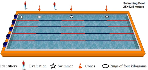 Figure 1 - Schematic visual of Progressive Swim Test to non-expert swimmers 