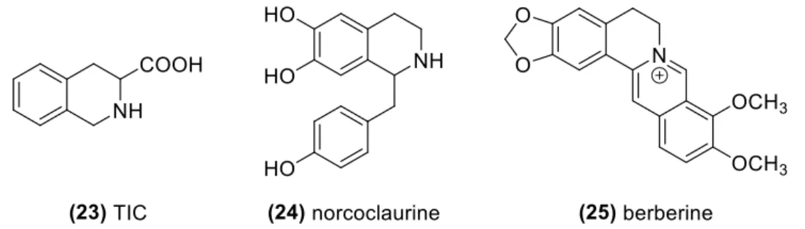 Figure  6.  Examples  of  THIQ  compounds  in  three  major  sub-classes  with  important  biological activities