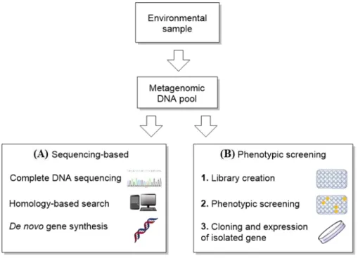 Figure 7. Metagenomics in gene discovery 