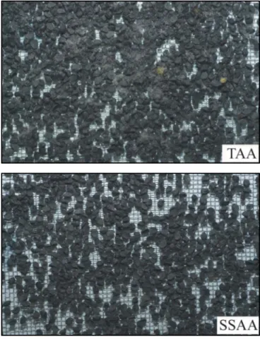 Figure 1 - Onion seed samples, cultivar Petroline, submited to traditional accelerated aging (TAA) and saturated salt accelerated aggings (SSAA) tests, 72 hours.