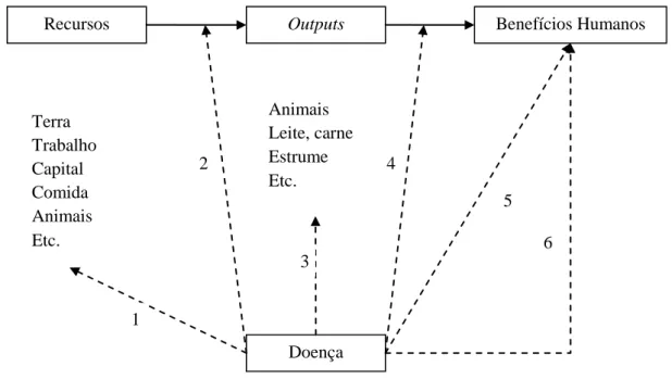 Figura 1 - Doenças dos animais no sistema de produção pecuário. Fonte: McInerney (1996)  