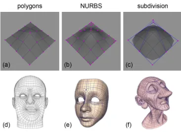 Figure  2.5:  The  three  types  of  geometries  used  for  facial  modeling;  top  row:  3D  representations  of  (a)  polygonal,  (b)  NURBS  and  (c)  subdivision;  bottom  row:  image  representations of (d) a polygonal human face by [Osipa 2010], (e) 