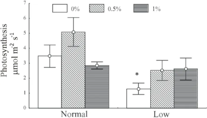 Figure 6 - Photosynthesis rate in coffee seedling leaves under two endogenous carbohydrate concentrations, normal and low, after application of sucrose at concentrations of 0.5 and 1% and water as a control, at 240 minutes (bars indicate the 95% confidence