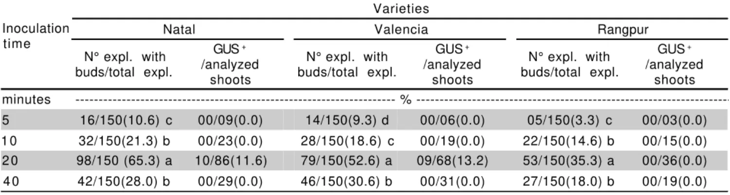 Table 4 - Effect of the longitudinal cut (2-3 mm) in the explant ends on in vitro organogenesis of Natal and Valencia sweet oranges and Rangpur lime.