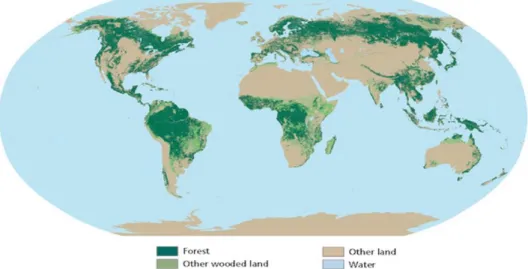 Figure 1- Representation of forest area, other wooded land, other land and water in the world (Source: FAO, 2010) 