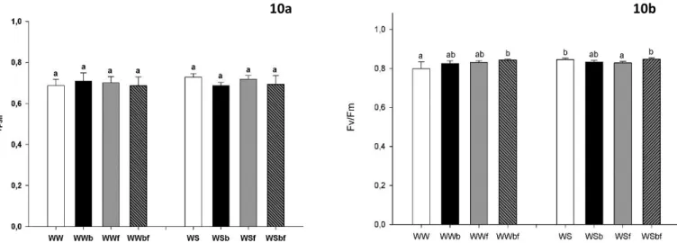 Figura 10-  Chlorophyll fluorescence: Effective quantum yield фPSII (10a) and Maximum quantum yield Fv/Fm (10b),  in  Well-Watered (80% of Field Capacity) and Water Stressed (30% of Field Capacity) conditions of Eucalyptus globulus after  6  weeks  of  wat