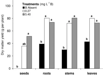 Figure 1 - The effect of B treatments on dry matter yield of castor bean plant. Bar graphs of specific parts with the same letter are not different (Tukey test, p < 0.05)