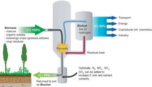 Figure 1. Representation of the pyrolysis’ process. The heated decomposition (in the absence of  oxygen, preferably) of the selected feedstock will result in biochar and bio-fuel