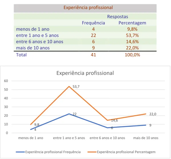 Tabela 5 - Experiência Profissional 