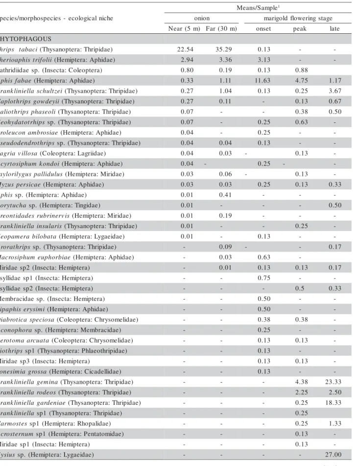 Table 1 - Average number of arthropods in each taxon collected/m 2  sample, Richness, Abundance and Diversity (H’) in onion or marigold plants under organic farming.