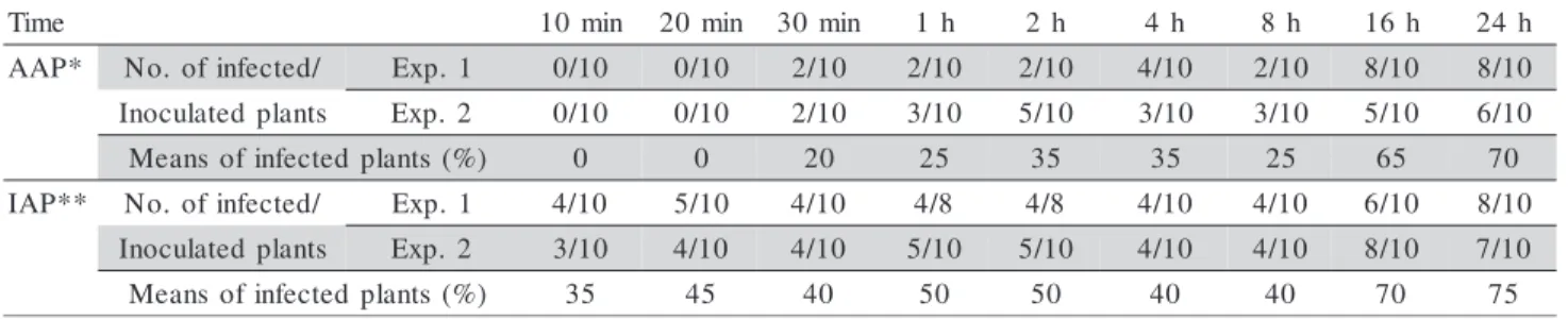 Table 1 - Transmission of Tomato yellow vein streak virus (ToYVSV) by Bemisia tabaci biotype B after different acquisition access (AAP) and inoculation access periods (IAP).