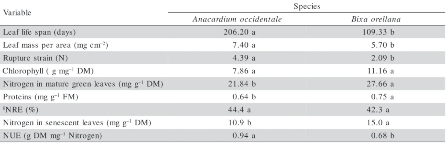 Table 2 - Mean values of leaf life span, leaf mass per area, leaf rupture strain and concentrations of total chlorophyll, total nitrogen, and total soluble proteins in mature green leaves