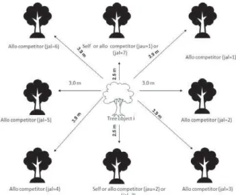 Figure 1 – Arrangement of  the trees competing for the calculation  of  covariates.