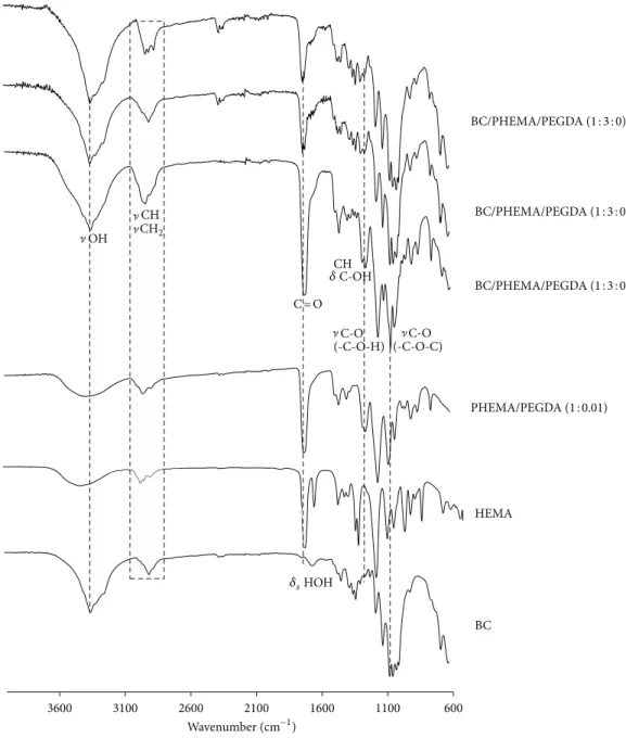 Figure 3: FTIR spectra of BC, HEMA, PHEMA/PEGDA (1 : 0.01), and BC/PHEMA nanocomposite films (1 : 3).