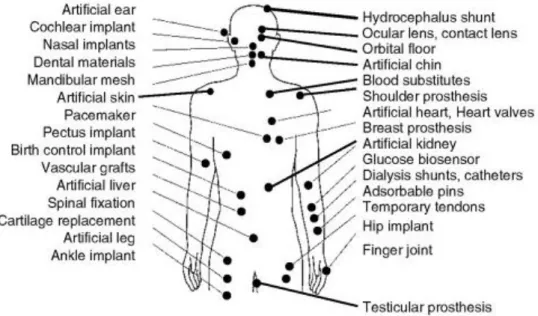 Figure 1 - Applications of biomaterials throughout the body. [10] 